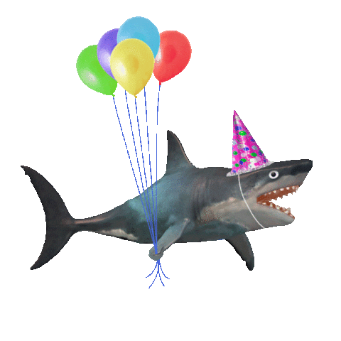 shark gif